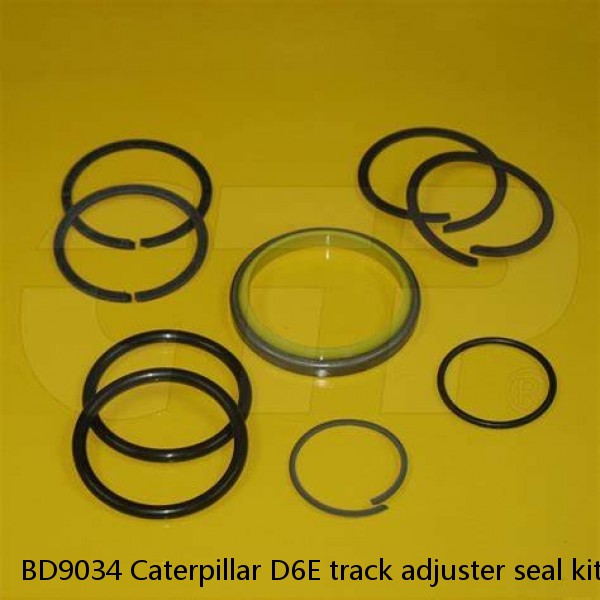 BD9034 Caterpillar D6E track adjuster seal kits