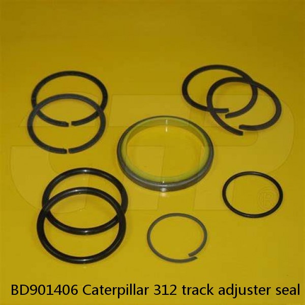 BD901406 Caterpillar 312 track adjuster seal kits #1 small image