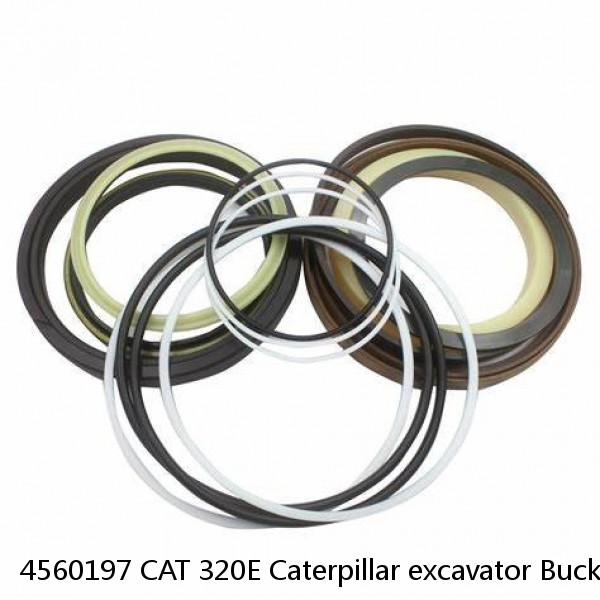 4560197 CAT 320E Caterpillar excavator Bucket cylinder Seal Kit #1 small image