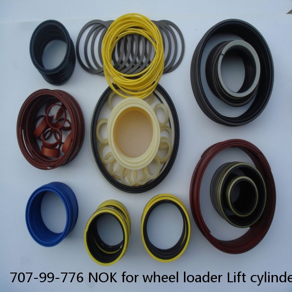 707-99-776 NOK for wheel loader Lift cylinder #1 image