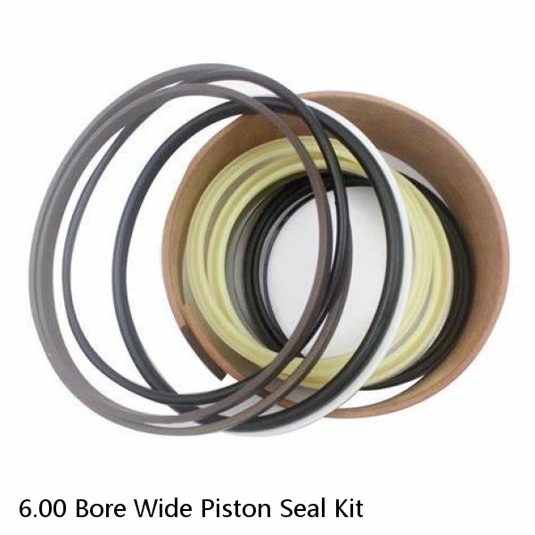 6.00 Bore Wide Piston Seal Kit #1 image