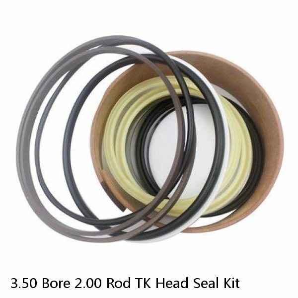 3.50 Bore 2.00 Rod TK Head Seal Kit #1 image